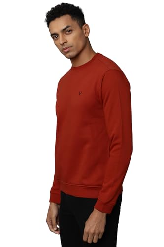 Allen Solly Men Cotton Crew Neck Sweatshirt - Image 3
