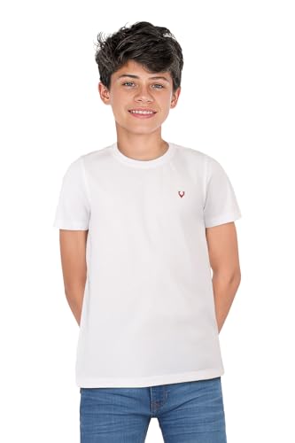 Allen Solly Boys Oversized Crew Neck T-shirt Stag Logo - Image 2