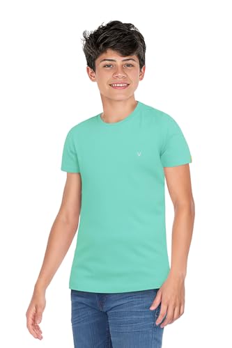 Allen Solly Boys Cotton Regular Fit Crew Neck T-shirt - Image 4