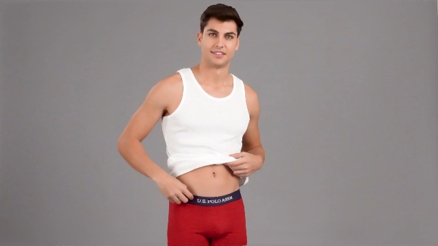 U.S. POLO ASSN. Men Cotton Horizontal Stripe Trunks Pack of 2 - Image 3