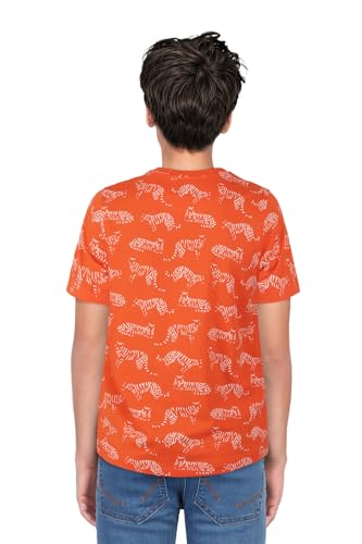 Allen Solly Boys T-Shirt - Image 3