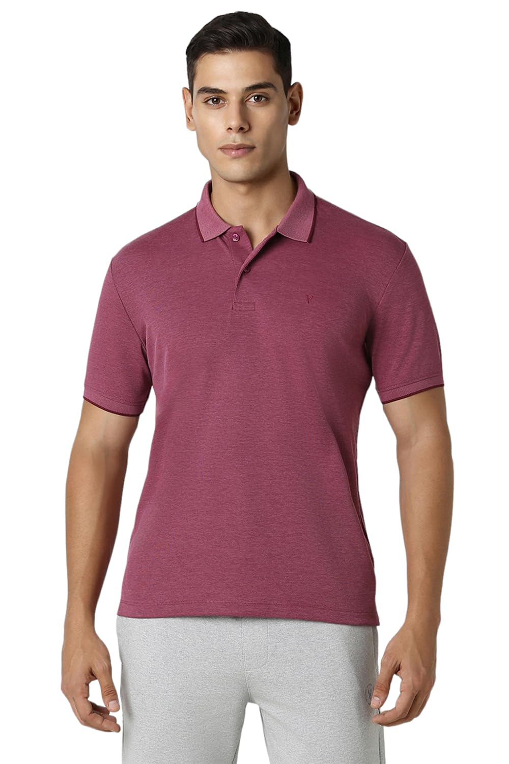 Van Heusen Men's Polycotton Regular Fit Polo T-Shirt