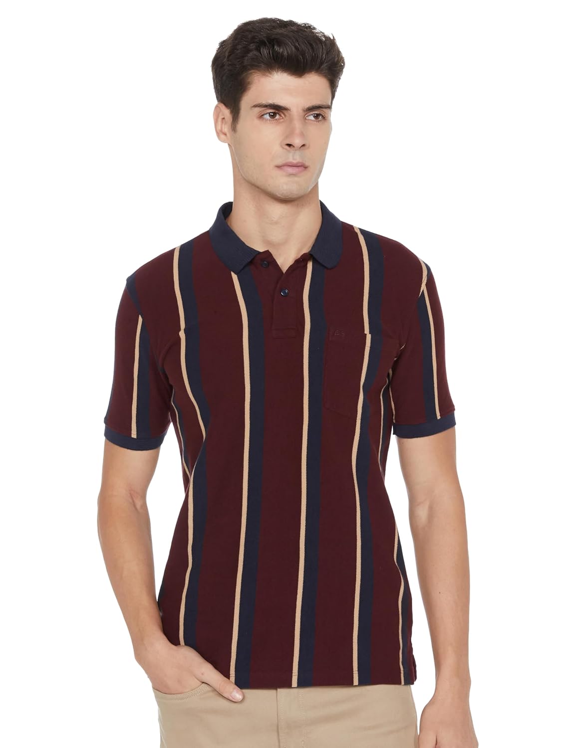 Peter England Men's 100% Cotton Vertical Striped Polo Shirt